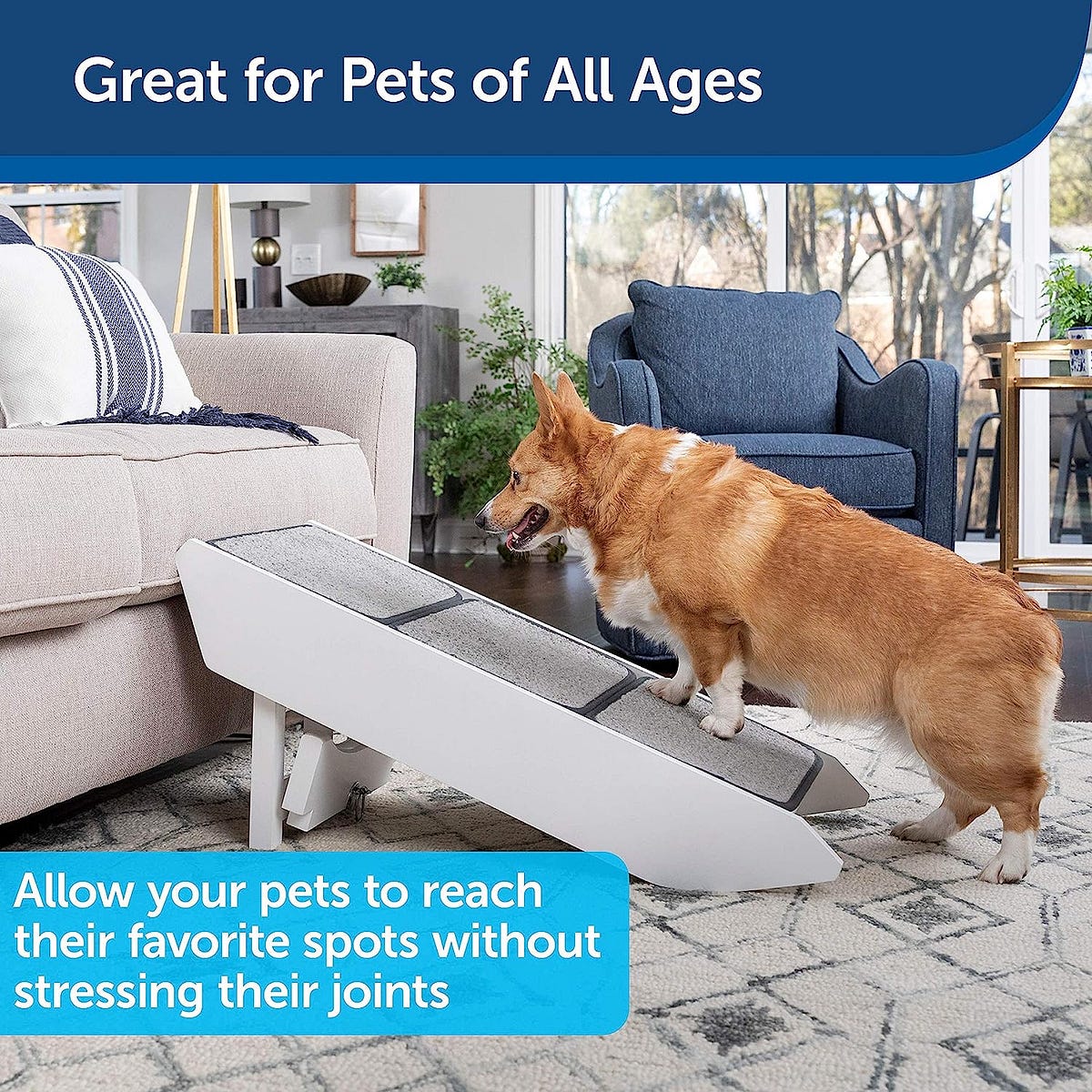 PetSafe CozyUp Steps & Ramp Combo — Transforming, Premium Wood Dog