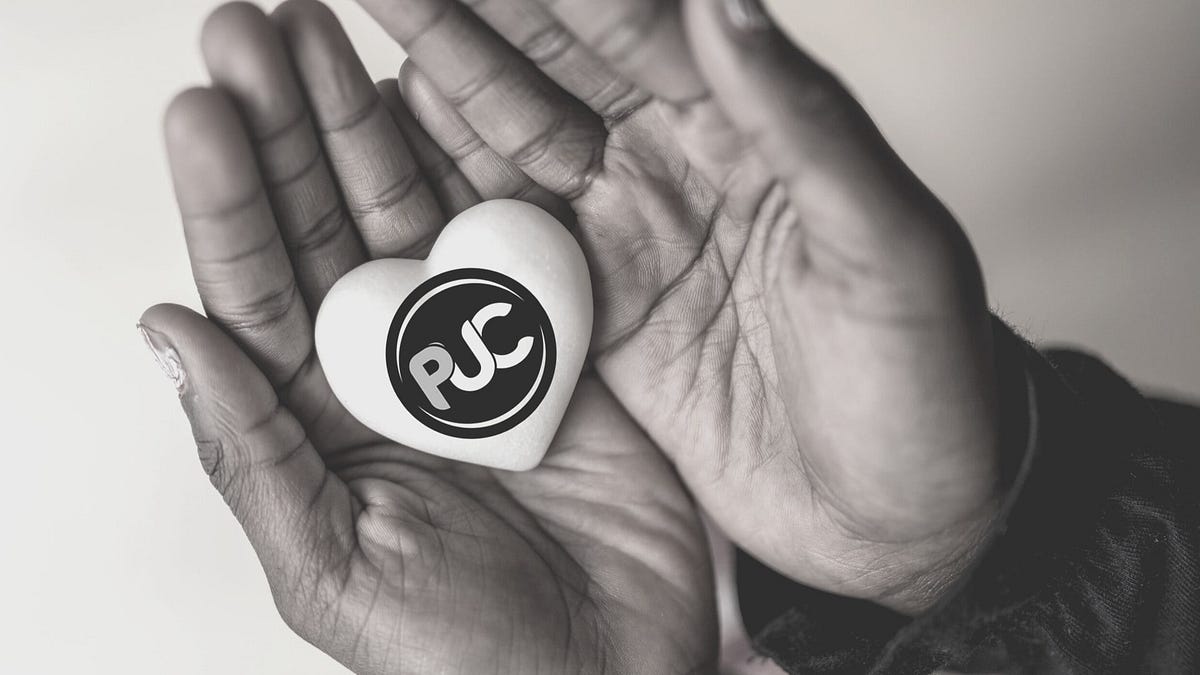 A Quick Introduction and Overview of the Pledge Coin | by The Pledge ...