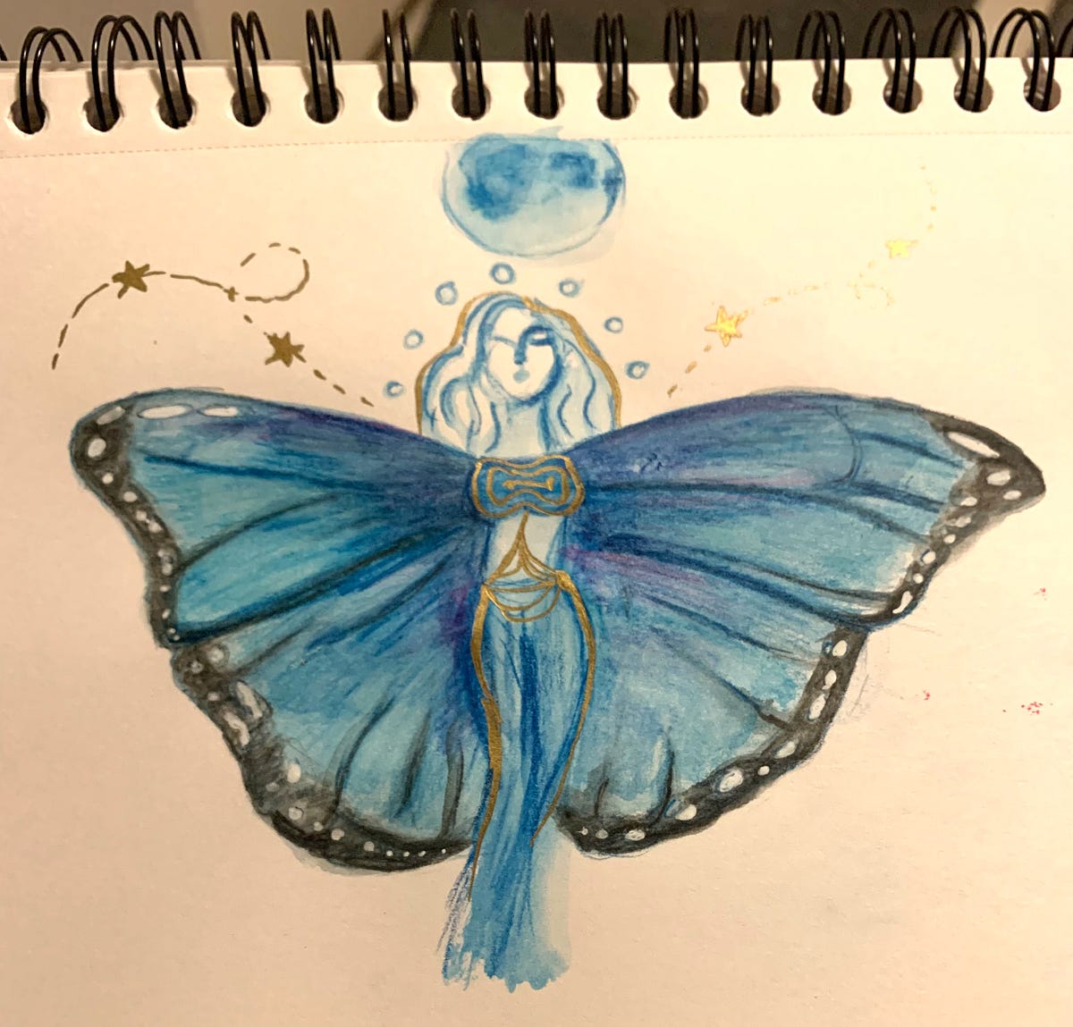 Blue morpho butterfly Iberia Zafira Medium