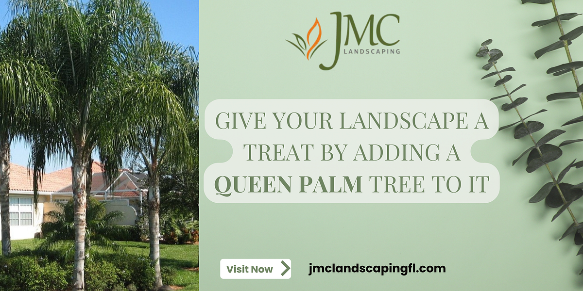 Give your landscape a treat by adding a queen palm tree to it by JMC