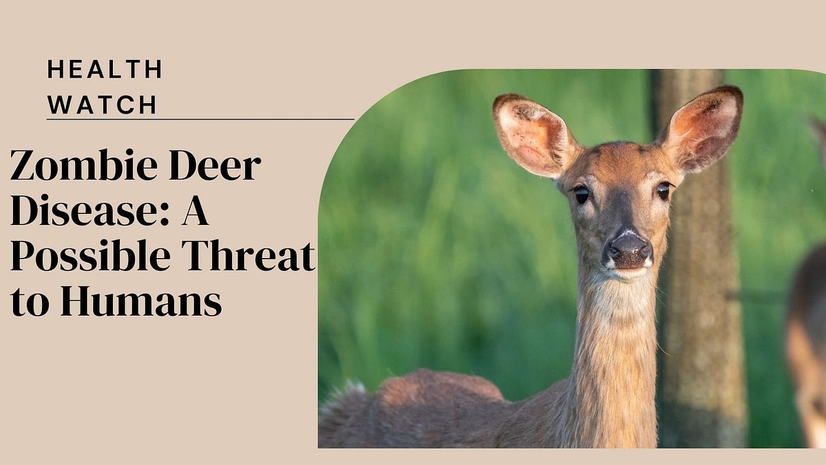 What is Zombie Deer Disease A Potential Threat to Humans? Exploring