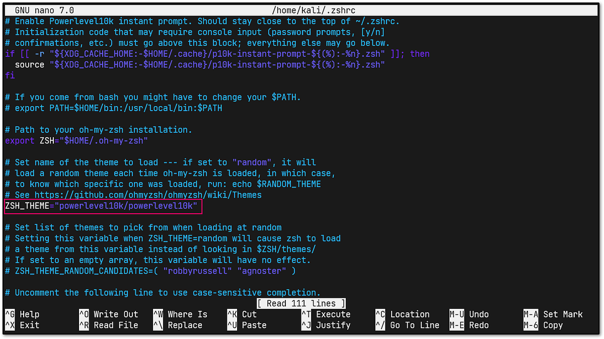 Learn how to set up a quick Linux terminal with the zsh shell and powerlevel10k by Ajay Yadav