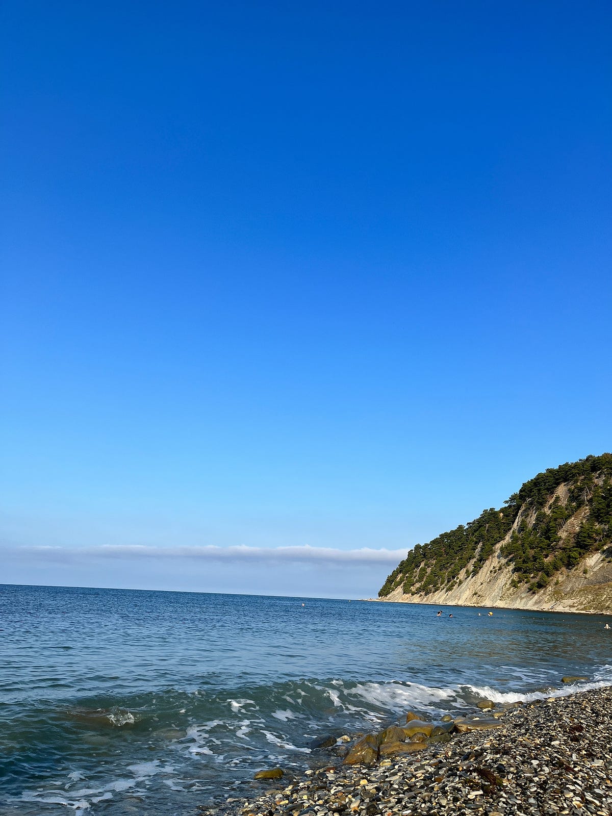 Летний акселератор вопрошания: что это было? | by Вадим Карастелев | Medium