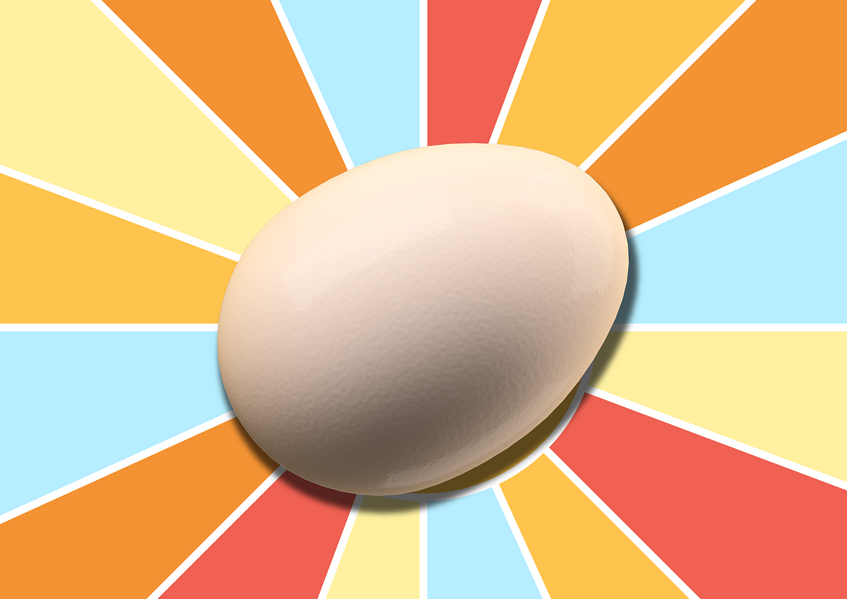 “100Days with Eggceptional JJ”. What do you call an egg that’s gone