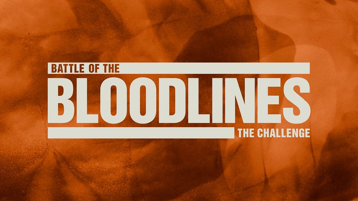 Every Season of The Challenge, Ranked 11 — Battle of the Bloodlines