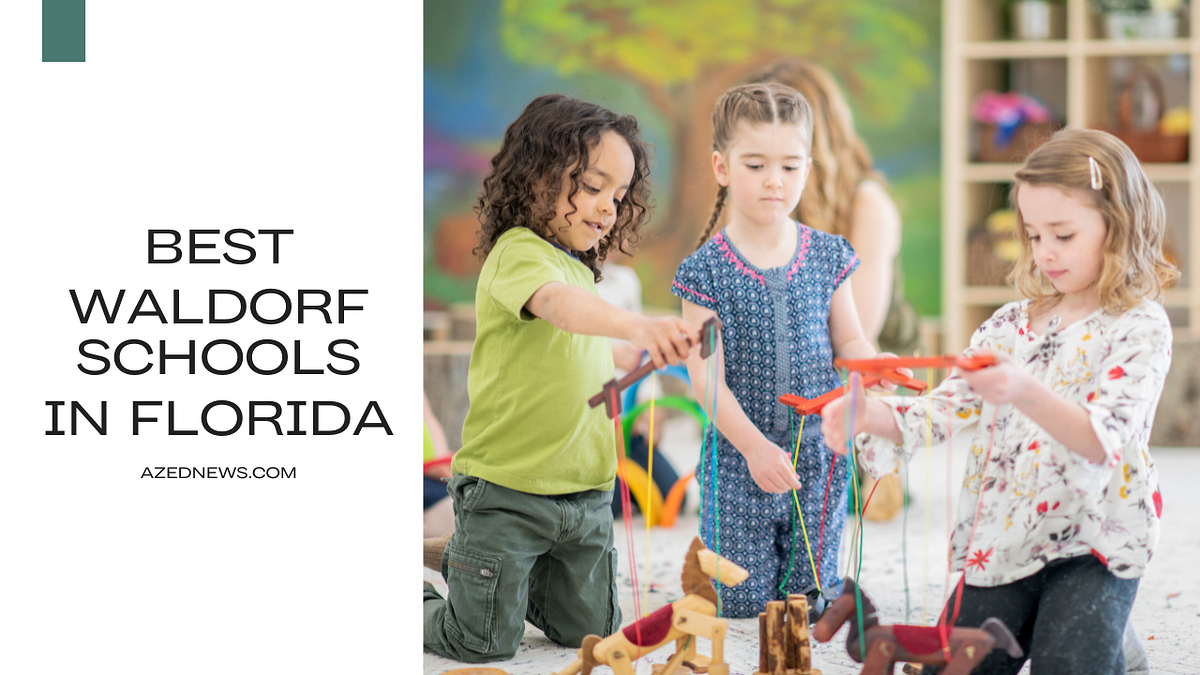Best Waldorf Schools in Florida. A lush environment and holistic… by Azednews Apr, 2024 Medium