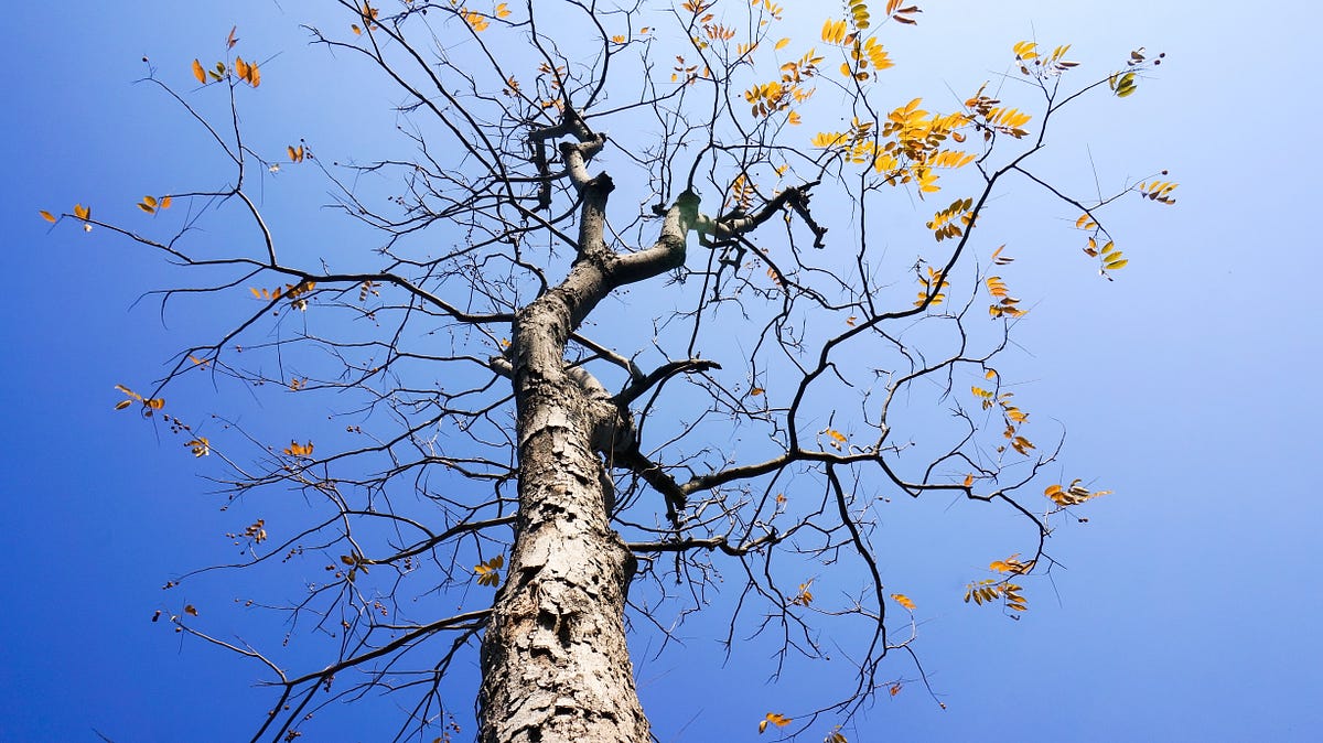 Getting started with deep learning part ii by ades tikaa medium