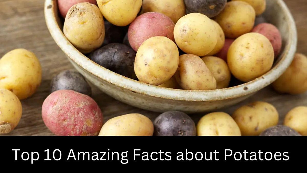 Amazing Facts about Potatoes — Facts Plant | by Fact Zone | Medium