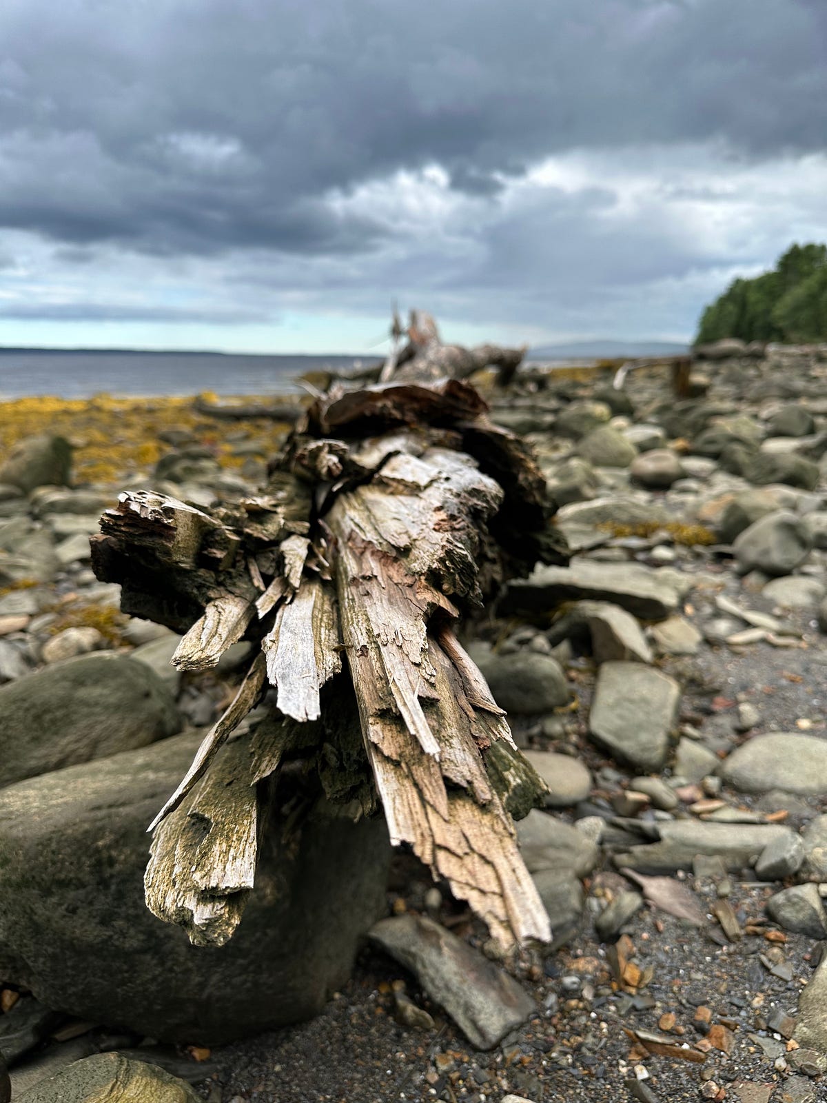 For a Fun Weekend Away Try Belfast (Maine, That Is) - Medium