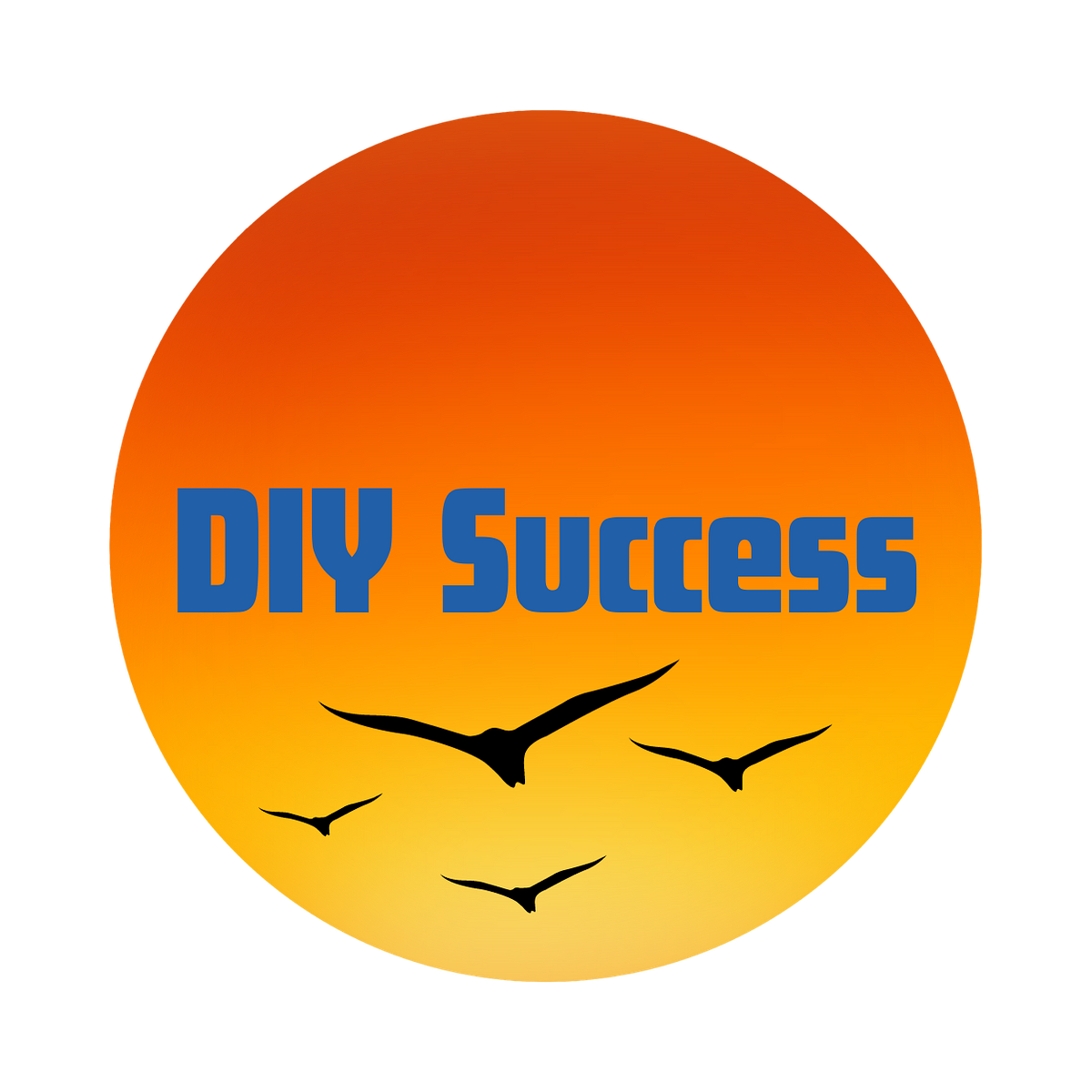 DIY Success diy-success
