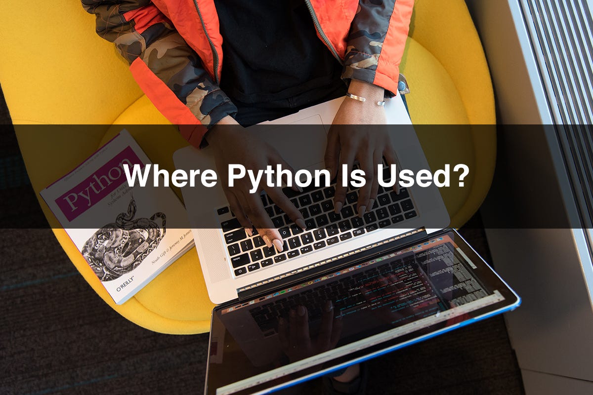 What Can You Build In Python?. What Can You Build In Python? | by App ...