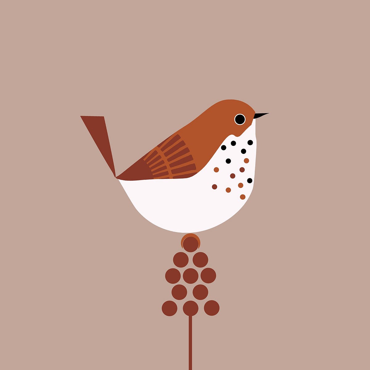 Where to Find ” 🧐 Sarita Flowaves Medium