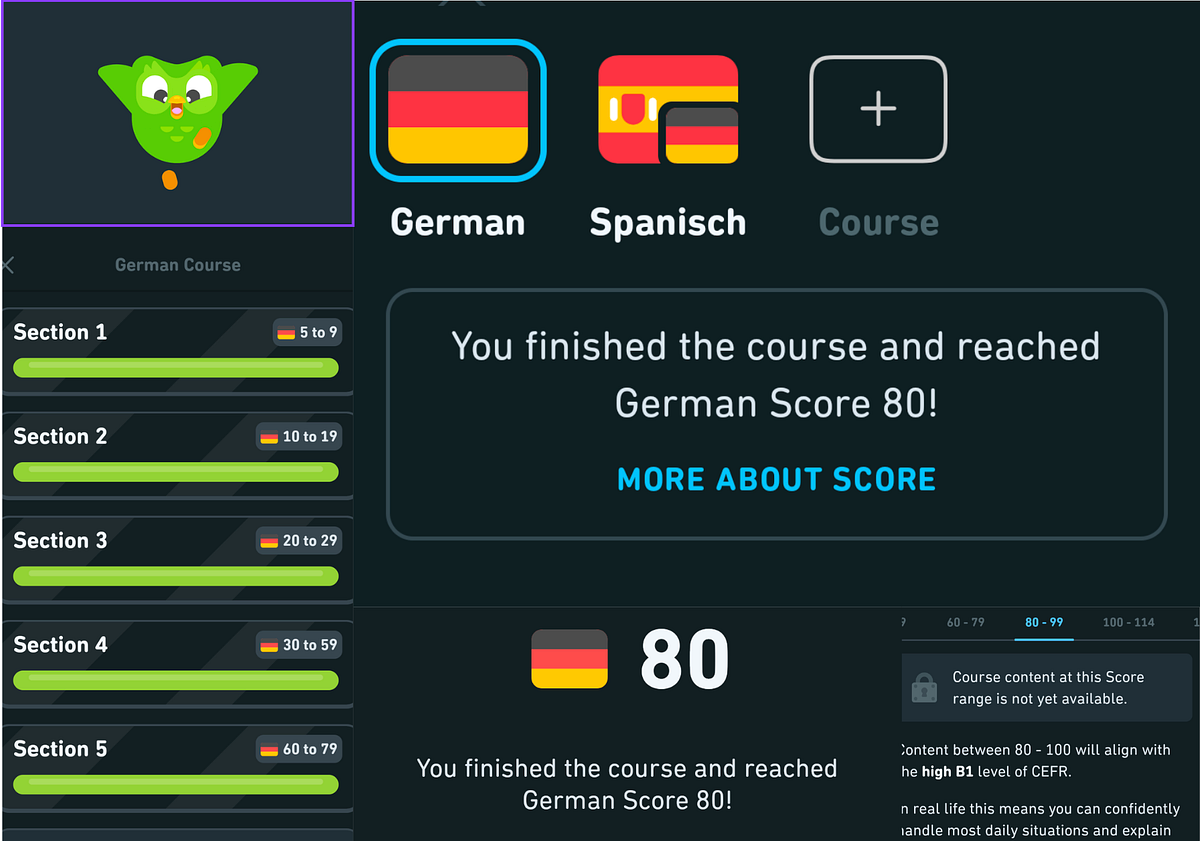 I Hit The Impossible Level 80 On Duolingo Honest Review By Sruthi i-hit-the-impossible-level-80-on-duolingo-honest-review-by-sruthi