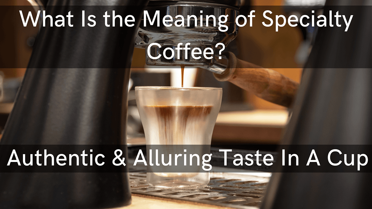 The Difference between Specialty and Regular Coffee Mark Apletree The Retired Affiliates