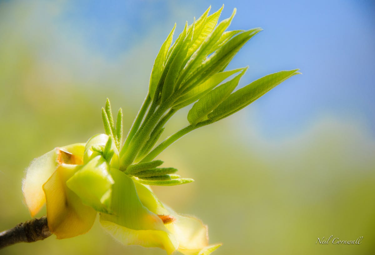 A New Life Begins. Getting saved begins the relationship… by Jeremy