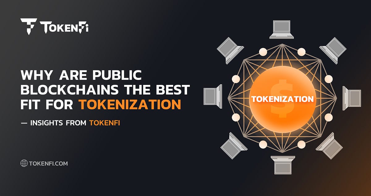 Why Are Public Blockchains Solely The Best Fit For Tokenization | by ...