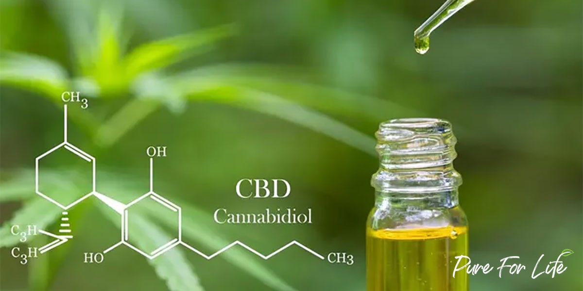 Science of CBD Absorption in Our Body