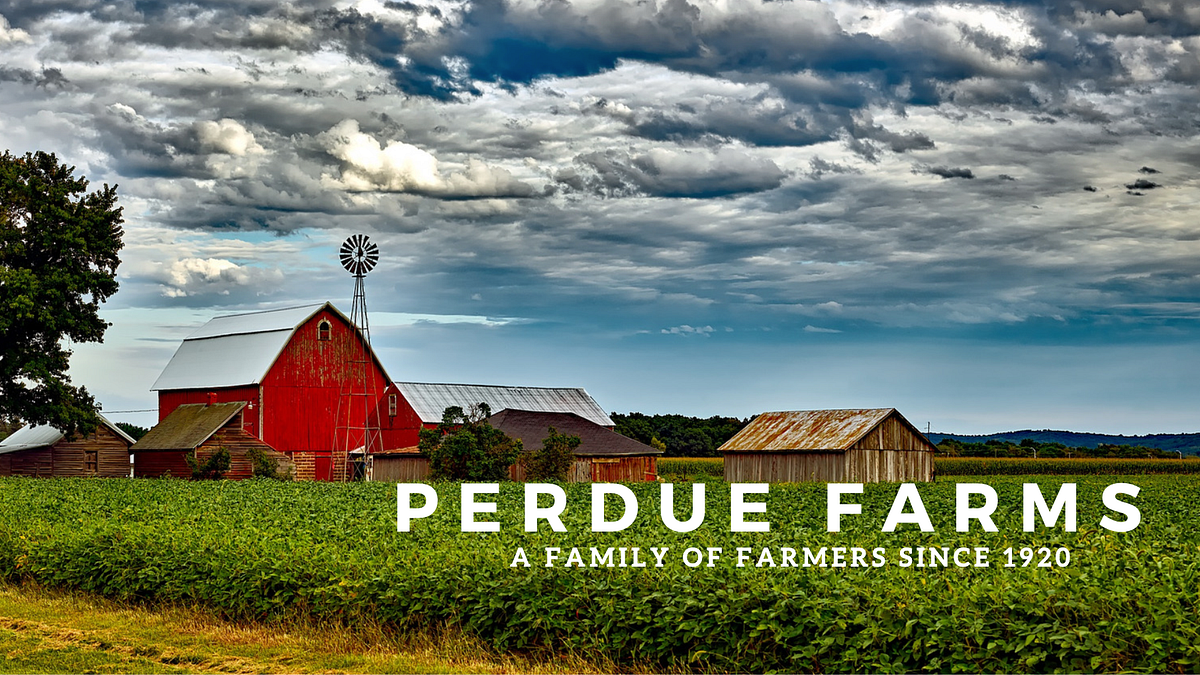 Perdue Farms Recipes. CASE STUDY by Leea Villatoro Medium