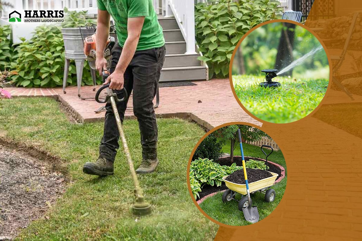 Lawn & garden services Singapore - Locanto
