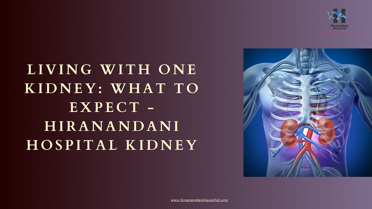 Living with One Kidney What to Expect — Hiranandani Hospital Kidney
