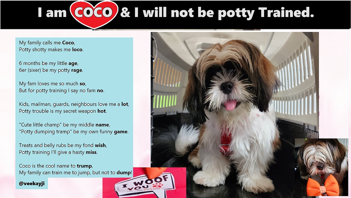 Image showcasing How to potty train your Dog — Delayed Housebreaking | by Yes I can I am ...