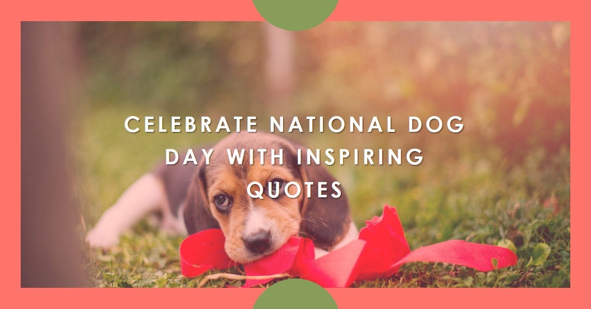 Happy National Dog Day International Mutt Day National Dog Day