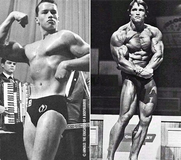 Arnold : Education of a Body Builder