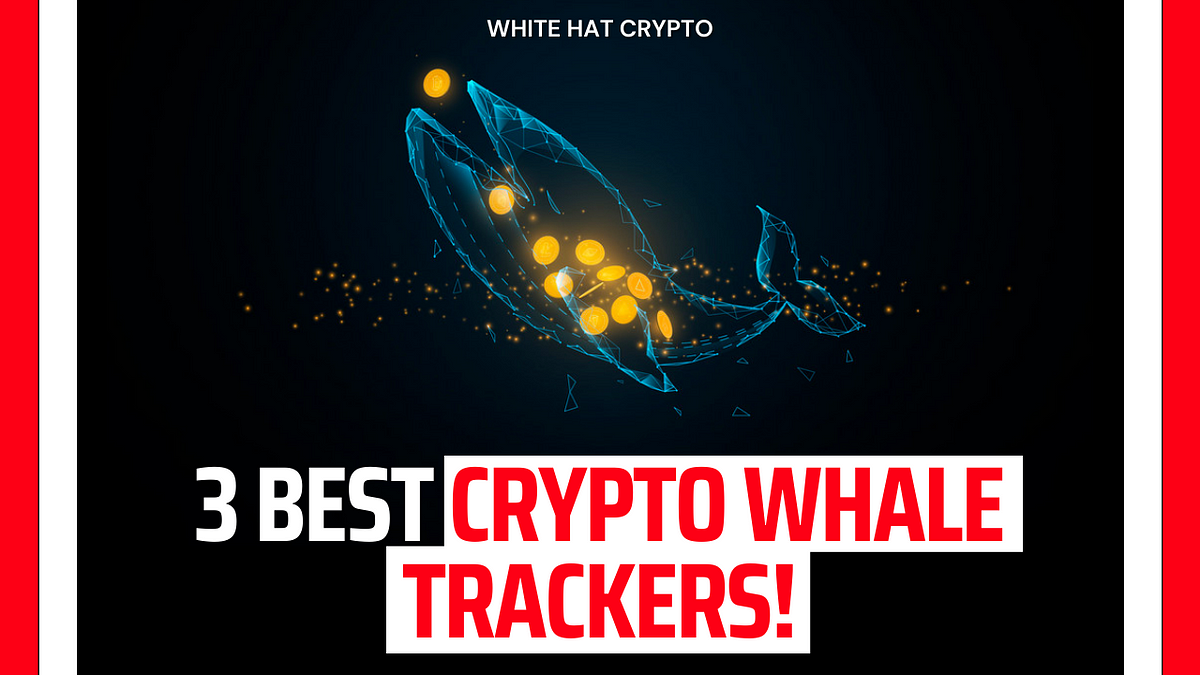 Crypto whale tracker app ammo coins crypto