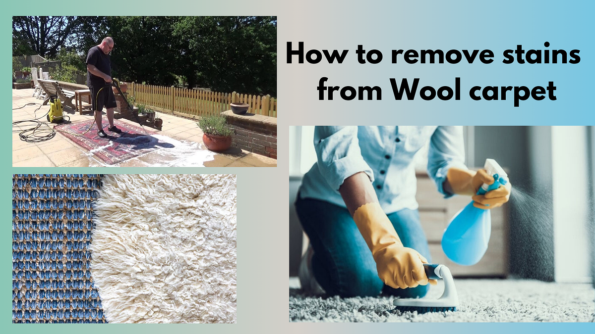 How to remove stains from Wool carpet by raven john Jul, 2024 Medium