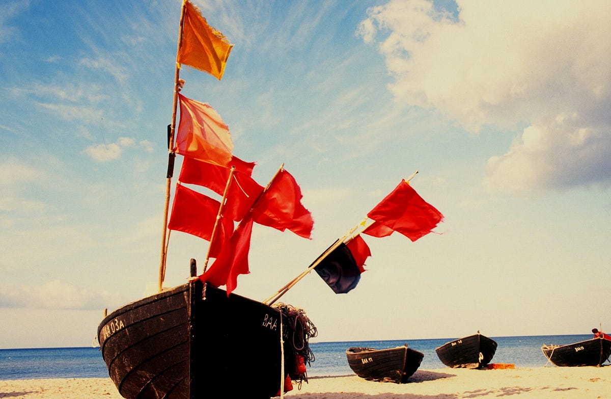 Software Project Red Flags. Every developer has experienced a… | by ...
