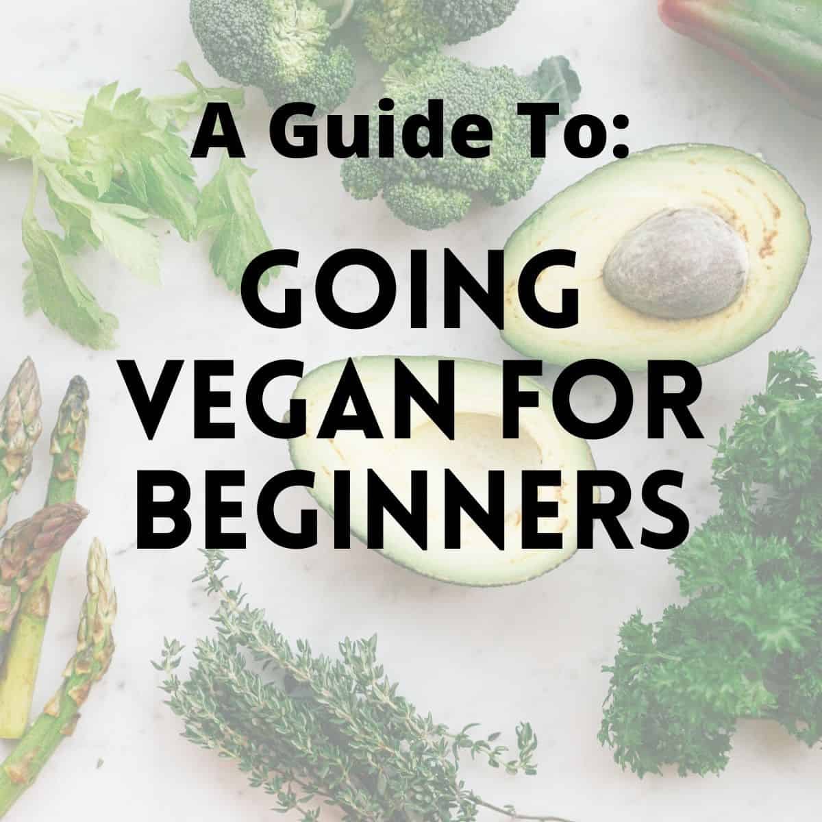 Best Vegan Food Products for Beginners: Start Your Vegan Journey | by ...