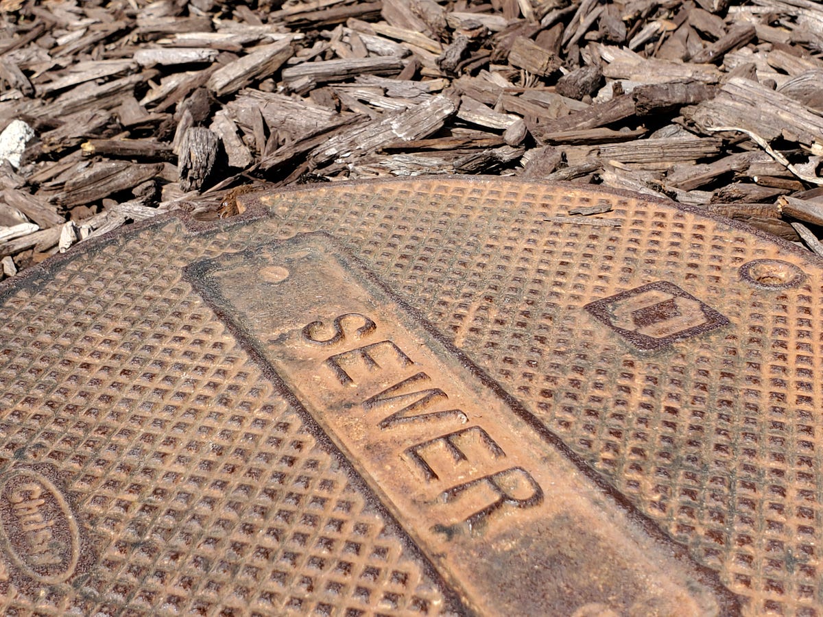 Image of: Contra Costa County Looking for Covid-19 In Poop