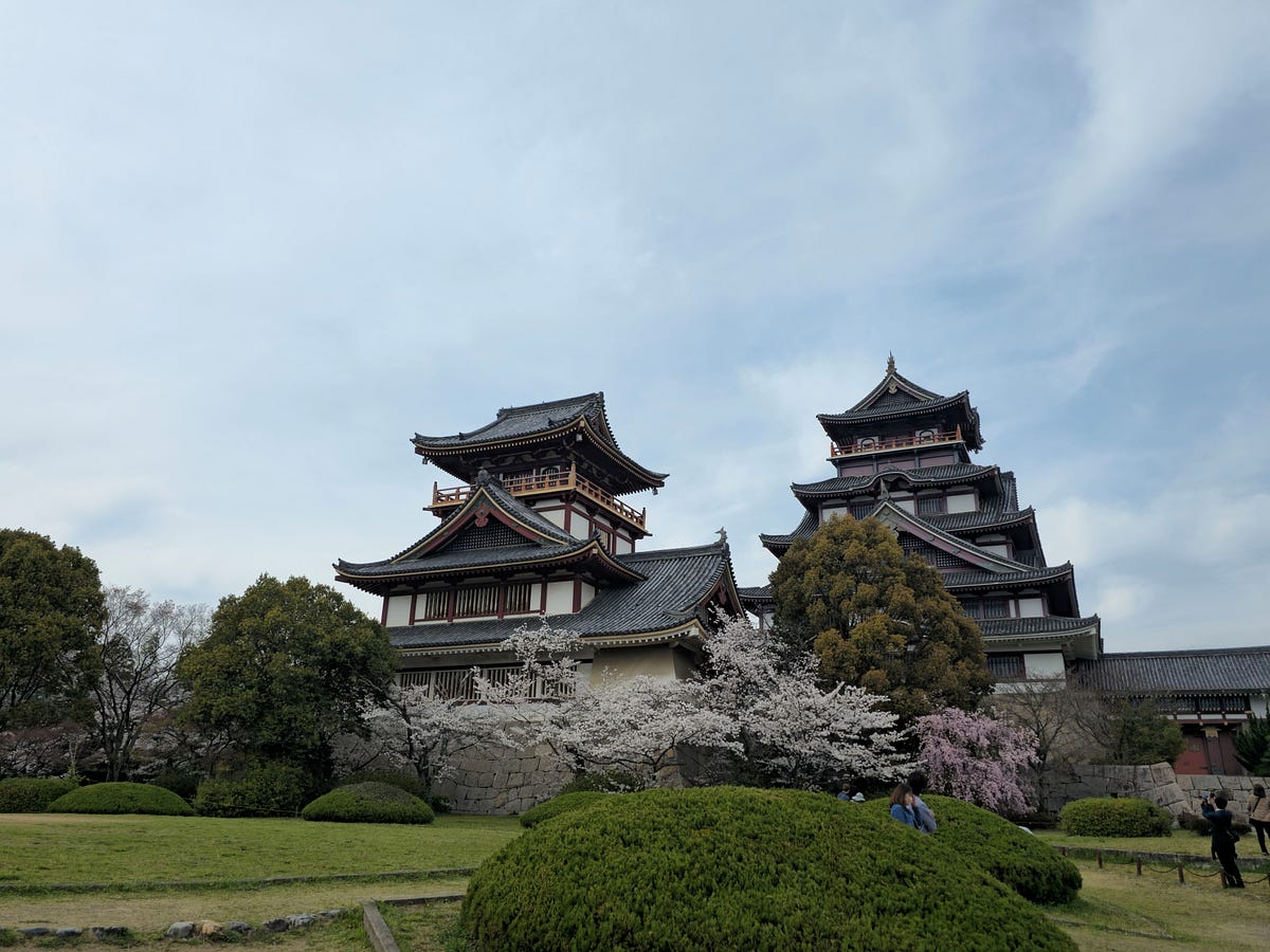 The Best and Worst Times to Visit Japan | by Taylor's Tips | Medium