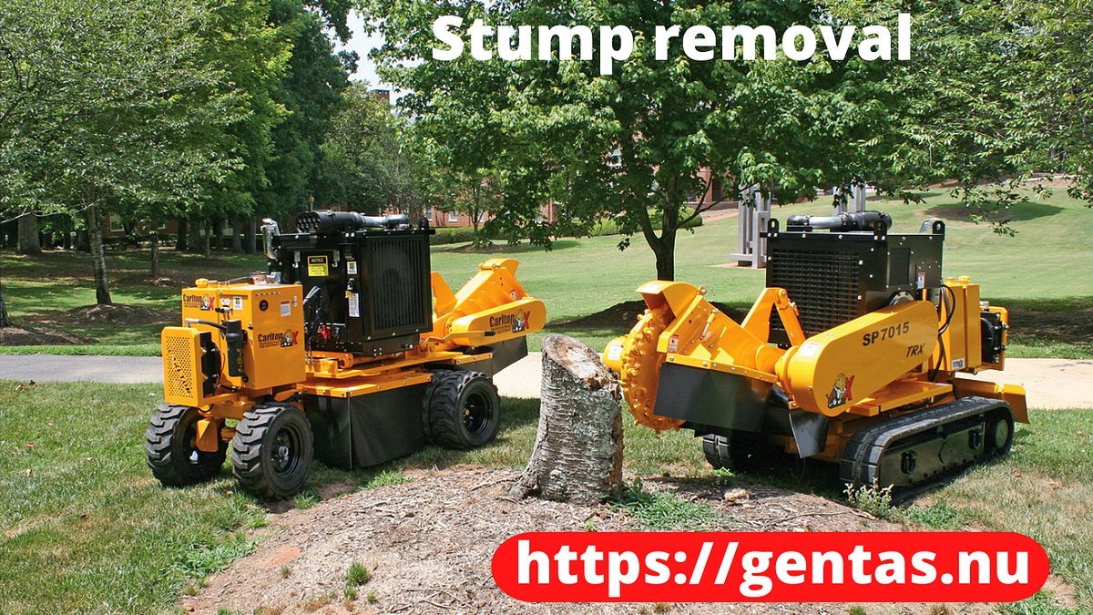 What’s the Difference Between Stump Grinding and Stump Removal? by