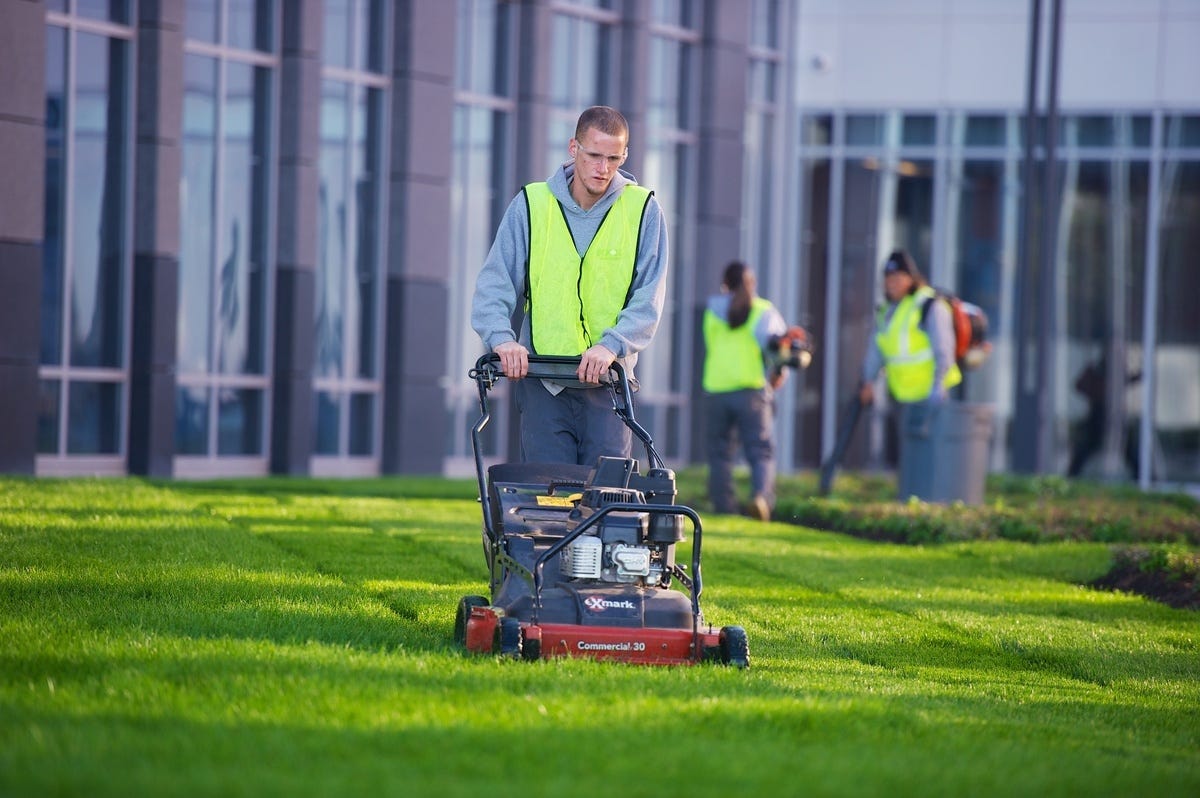 Organic Vs. Synthetic — What Is The Best Fertilizer For Grass? by