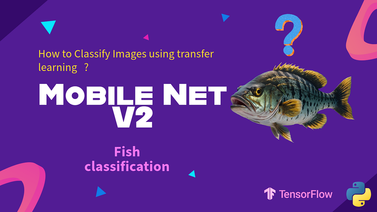 How To Actually Fine-Tune MobileNetV2 | Classify 9 Fish Species | by ...