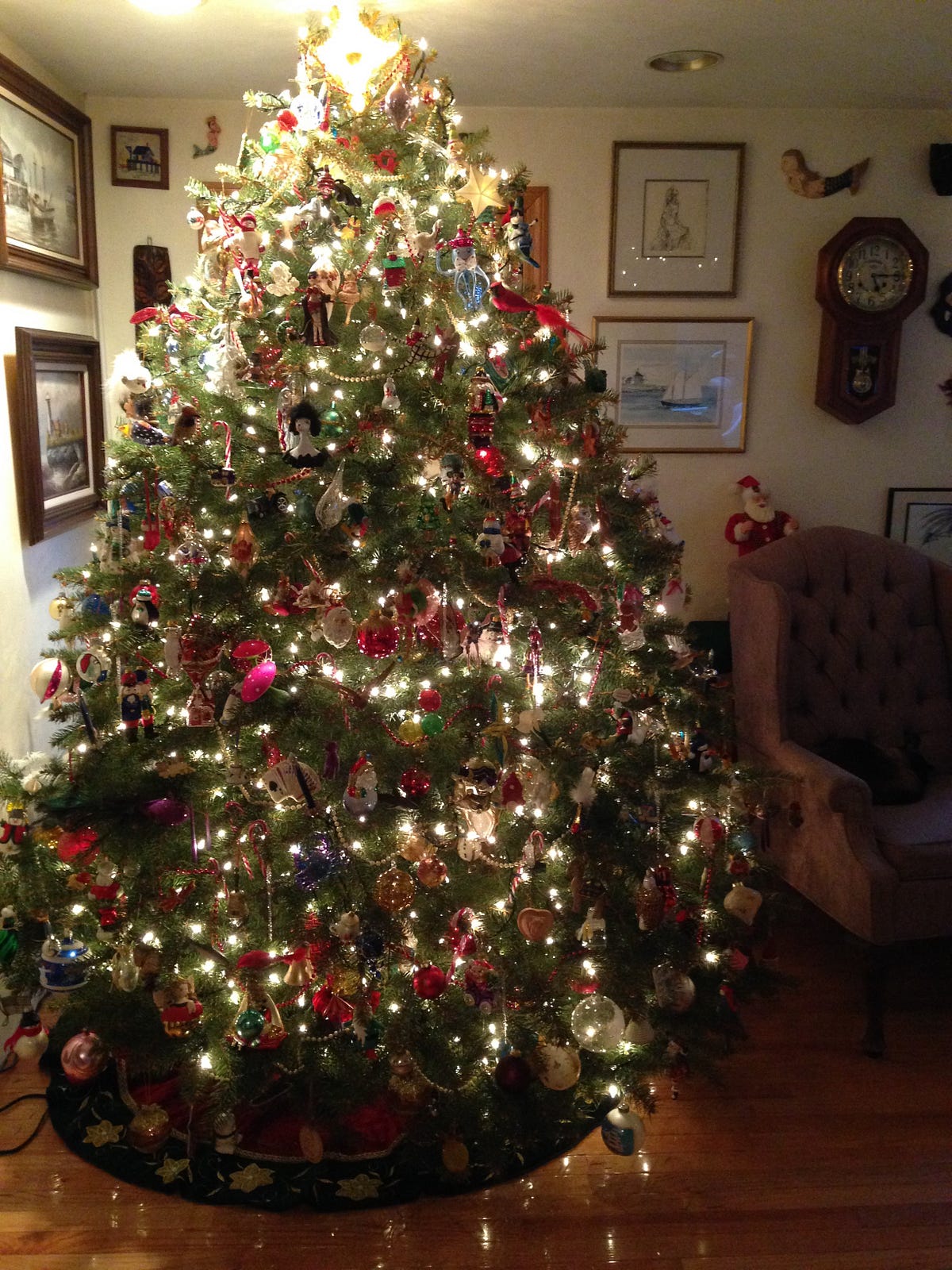 The Christmas Tree. We always went out to pick a beautiful… by Gloria Carrara The Story Hall