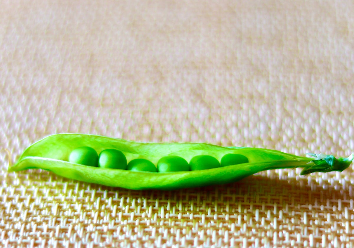 What is Pea Protein?. Peas, peas, they’re good for your… by GRIT
