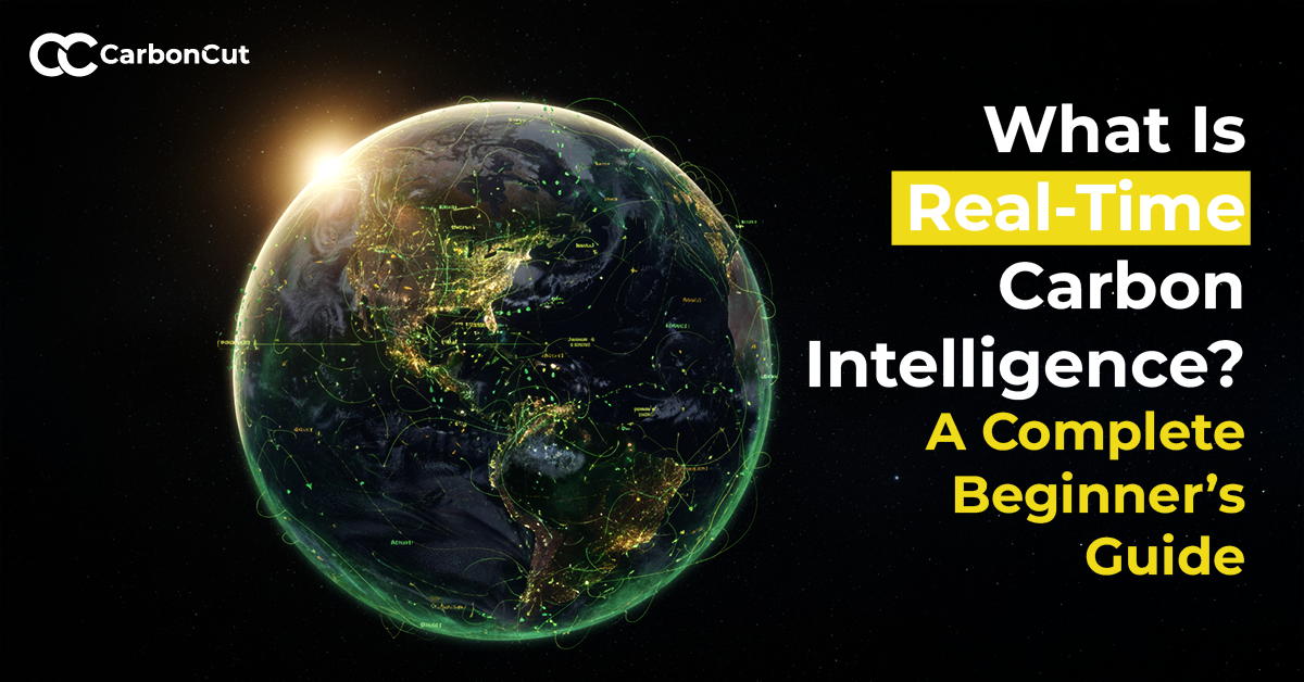 What Is Real-Time Carbon Intelligence? A Complete Beginner’s Guide