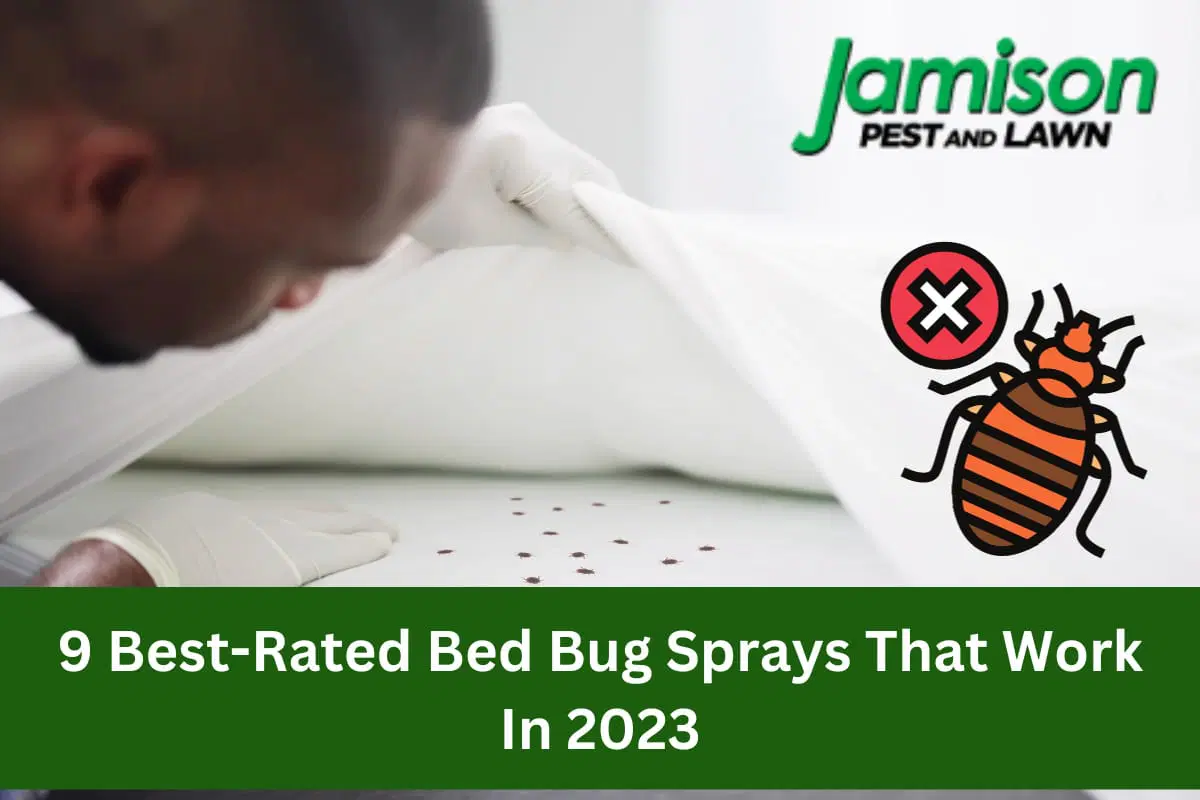 bed bug sprays9 BestRated Bed Bug Sprays That Work In 2023 Jamison Pest and Lawn Medium