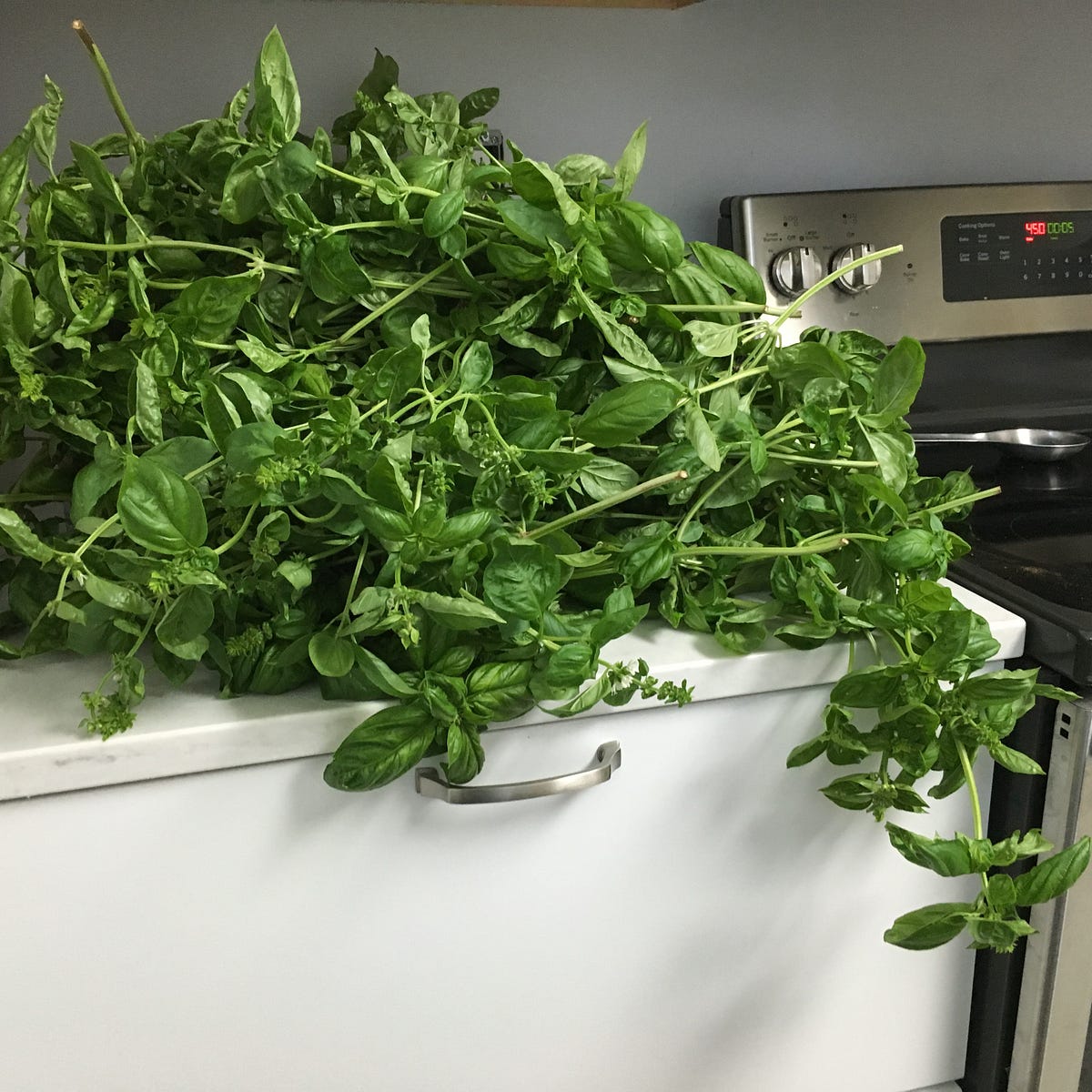 Fix My Bitter Pesto A Solution to a Common Problem by Laura White