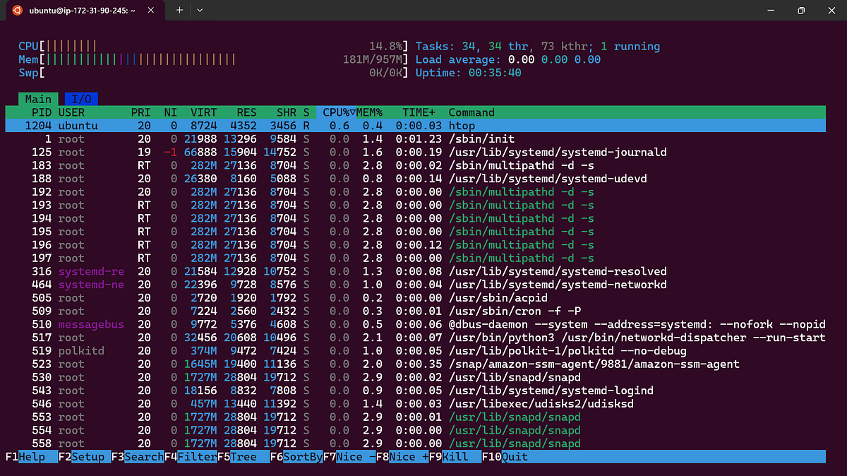 Mastering Automatic Service Monitoring: A Shell Script for Web Server ...