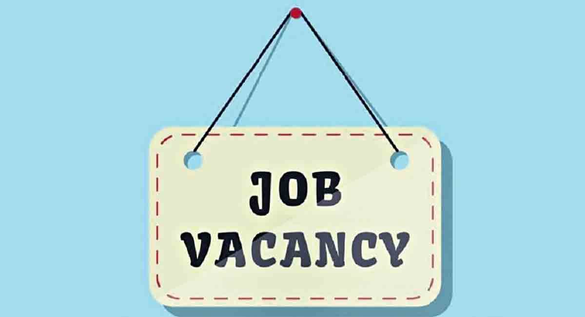 The Evolution and Impact of Job Portals: A Comprehensive Analysis  by Unojobs  Dec, 2023  Medium