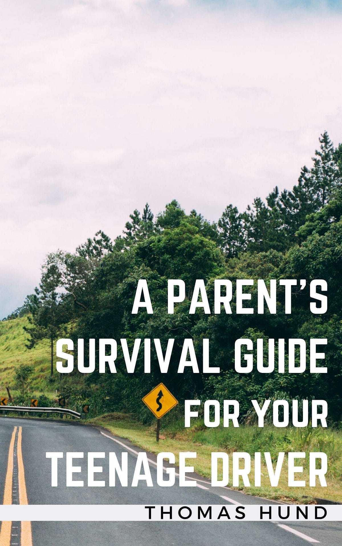 Lcps Parentvue: A Parent'S Survival Guide - 2b4uona