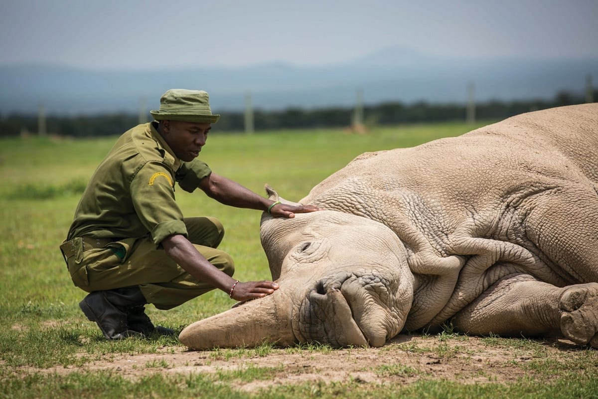 The Distance That Binds Us. Ecology, Morality, and the… | by James B ...