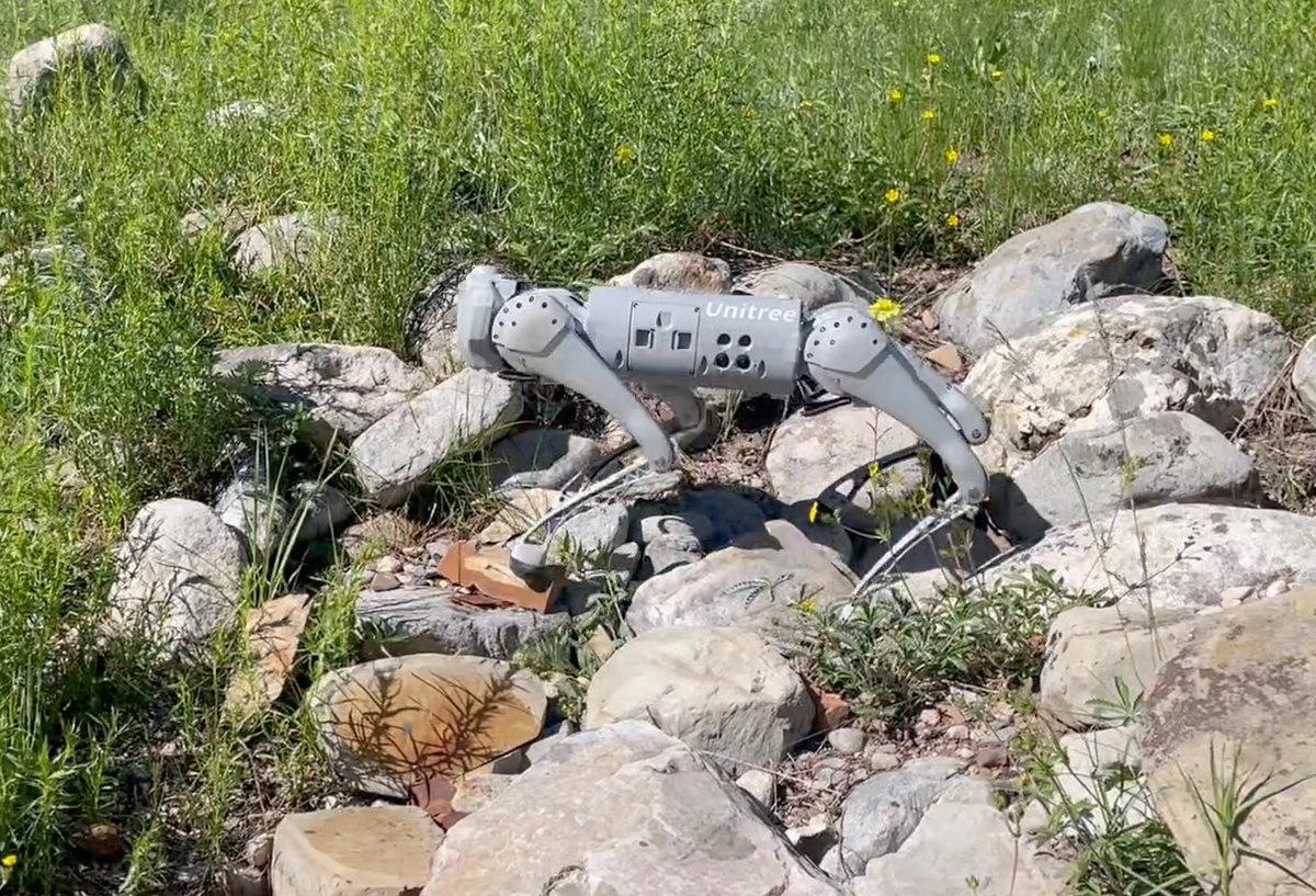 Testing the Field Capabilities of the Unitree Go-1 | by Nikolaus Correll | Jul, 2024