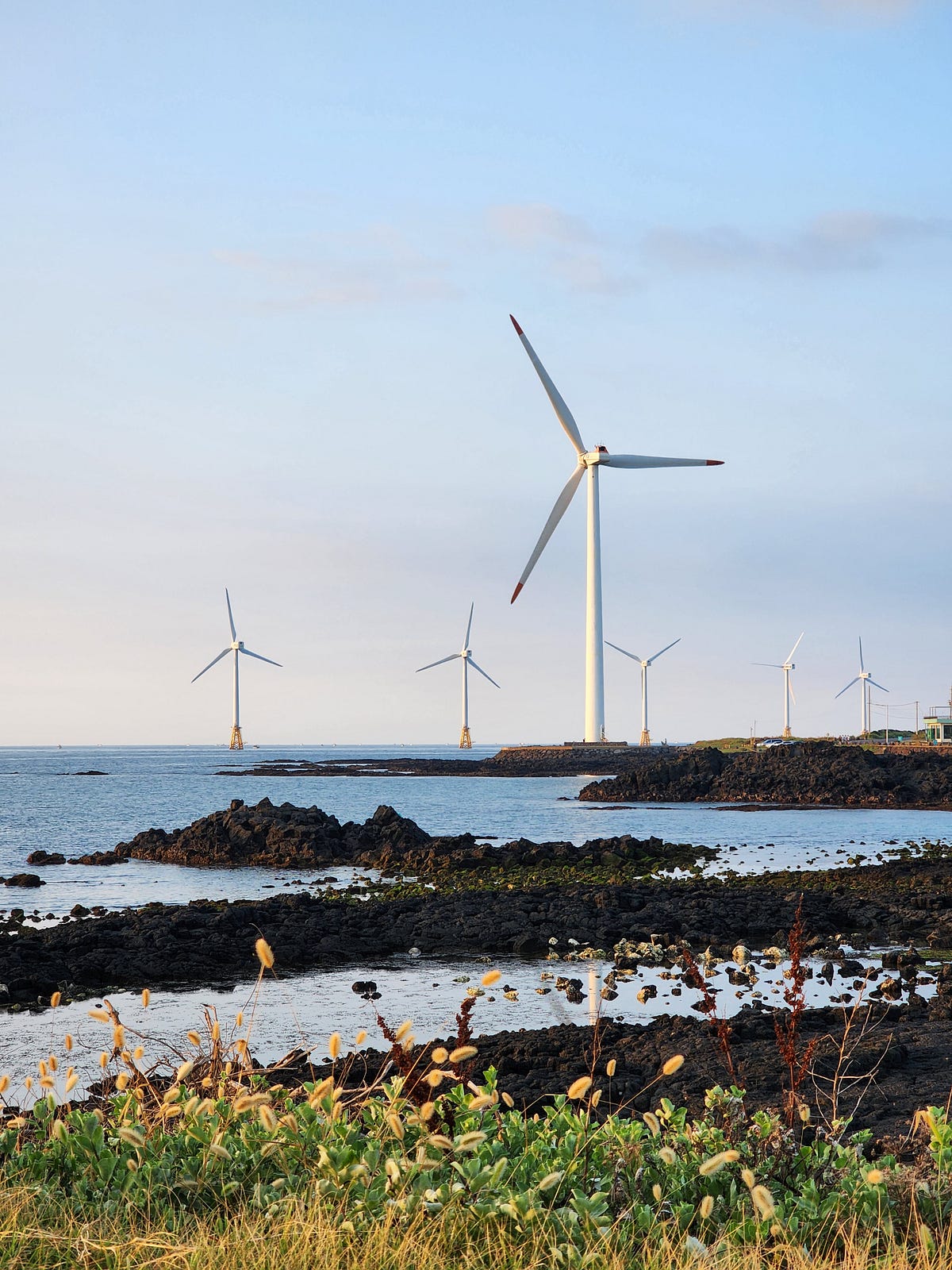 From Data to Insight Jeju, the Island of Three Abundances Reimagined by Yeonsoo Doh Medium