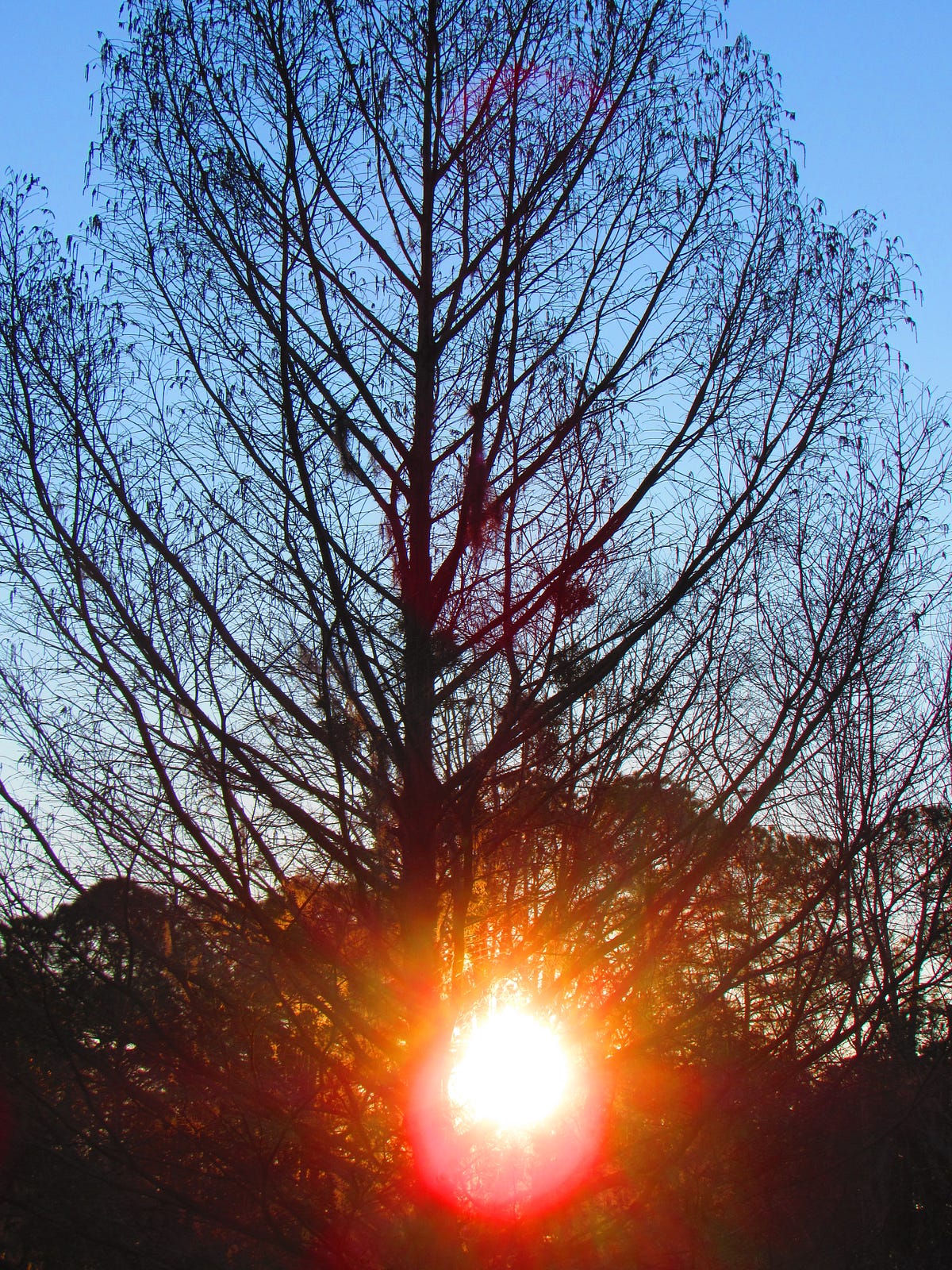 Two Sides Of Morning Simply Photos Medium