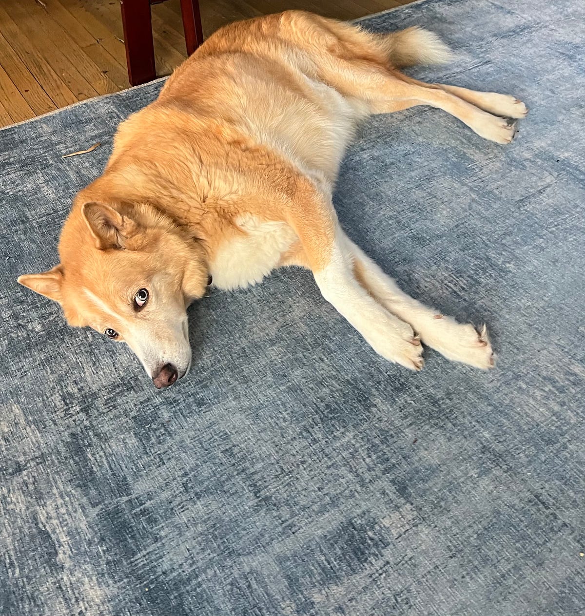 Spray and Pray Recruiting is Burning Out an Already Battered Tech