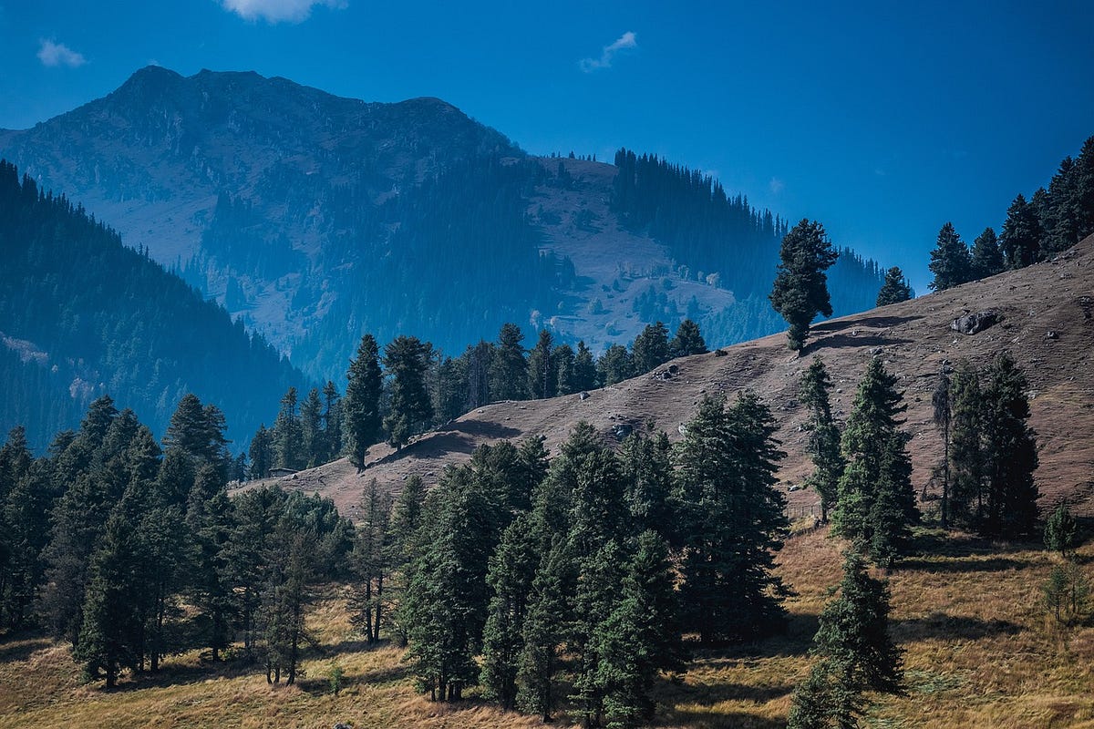 Exploring the Magnificent Journey Pahalgam to Gulmarg Distance by